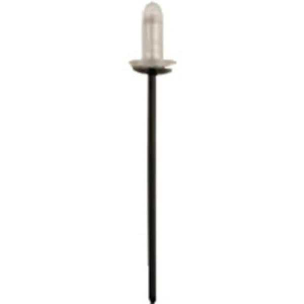 SW-Stahl Rivet Article number: S8034-10 cheaply