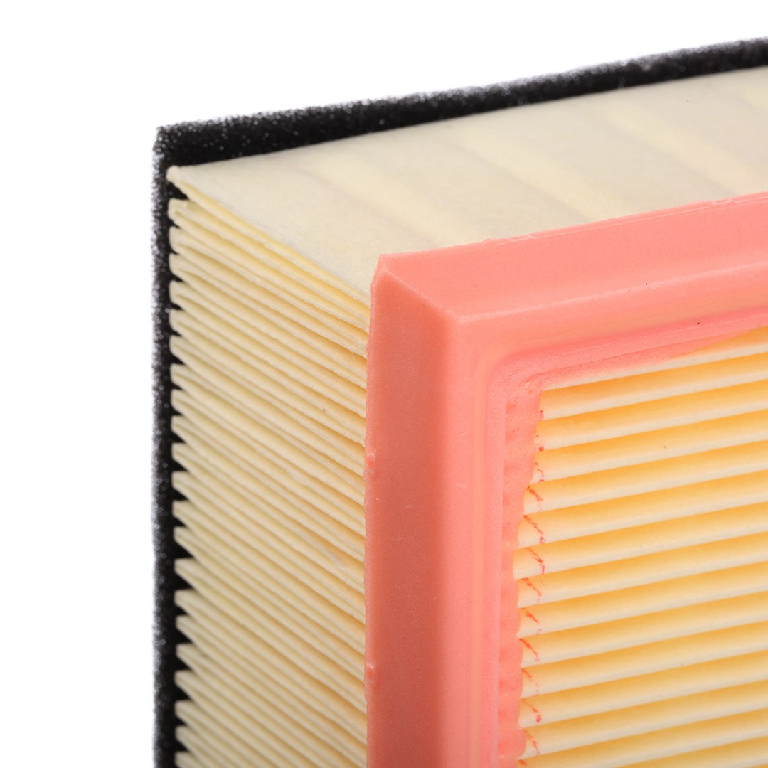 RIDEX Luftfilter Varenummer: 8A1613 billige