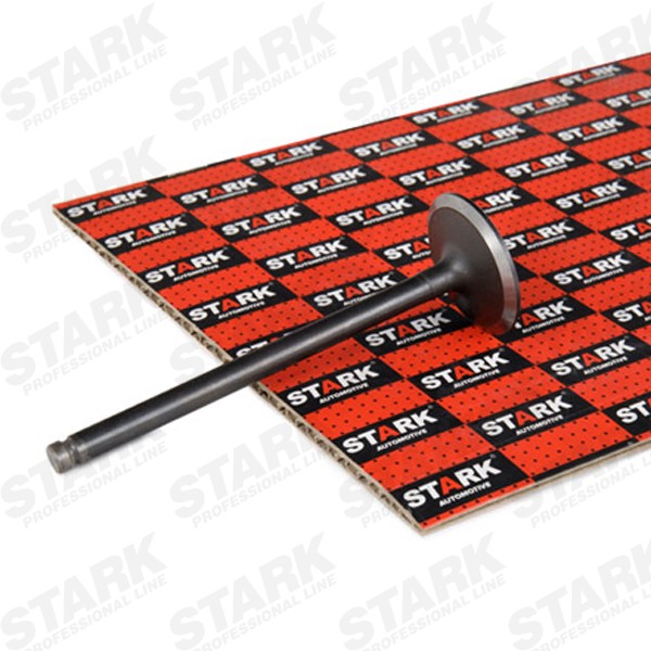 STARK Valvola di aspirazione Numero articolo: SKINV-3270012 poco costoso