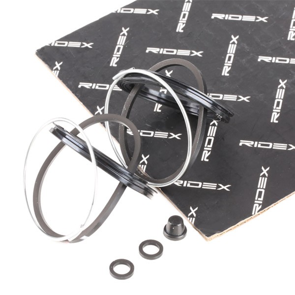 RIDEX Repair Kit, brake caliper Article number: 405R0195 cheaply