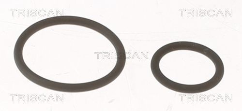 TRISCAN Seal Kit, injector nozzle Article number: 596-1001 cheaply