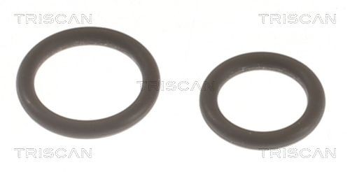 TRISCAN Seal Kit, injector nozzle Article number: 596-1002 cheaply