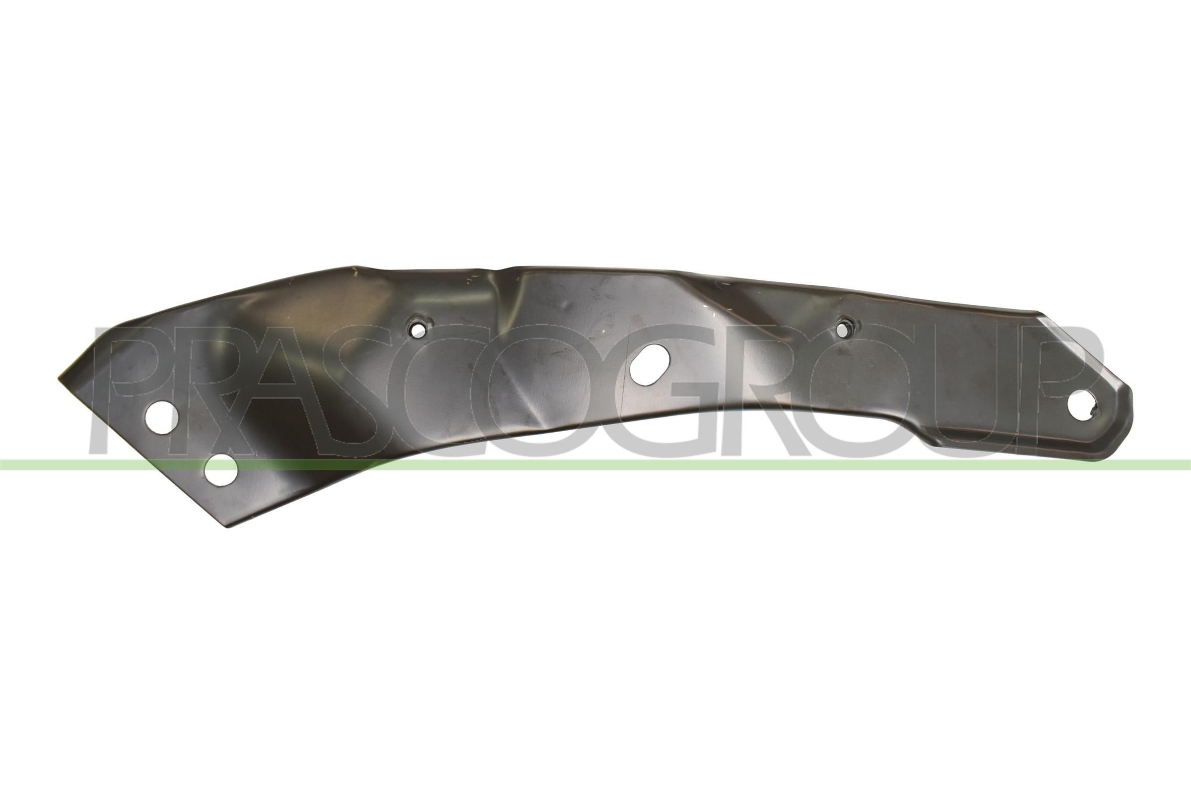PRASCO Headlight Base Article number: VG0383413 cheaply