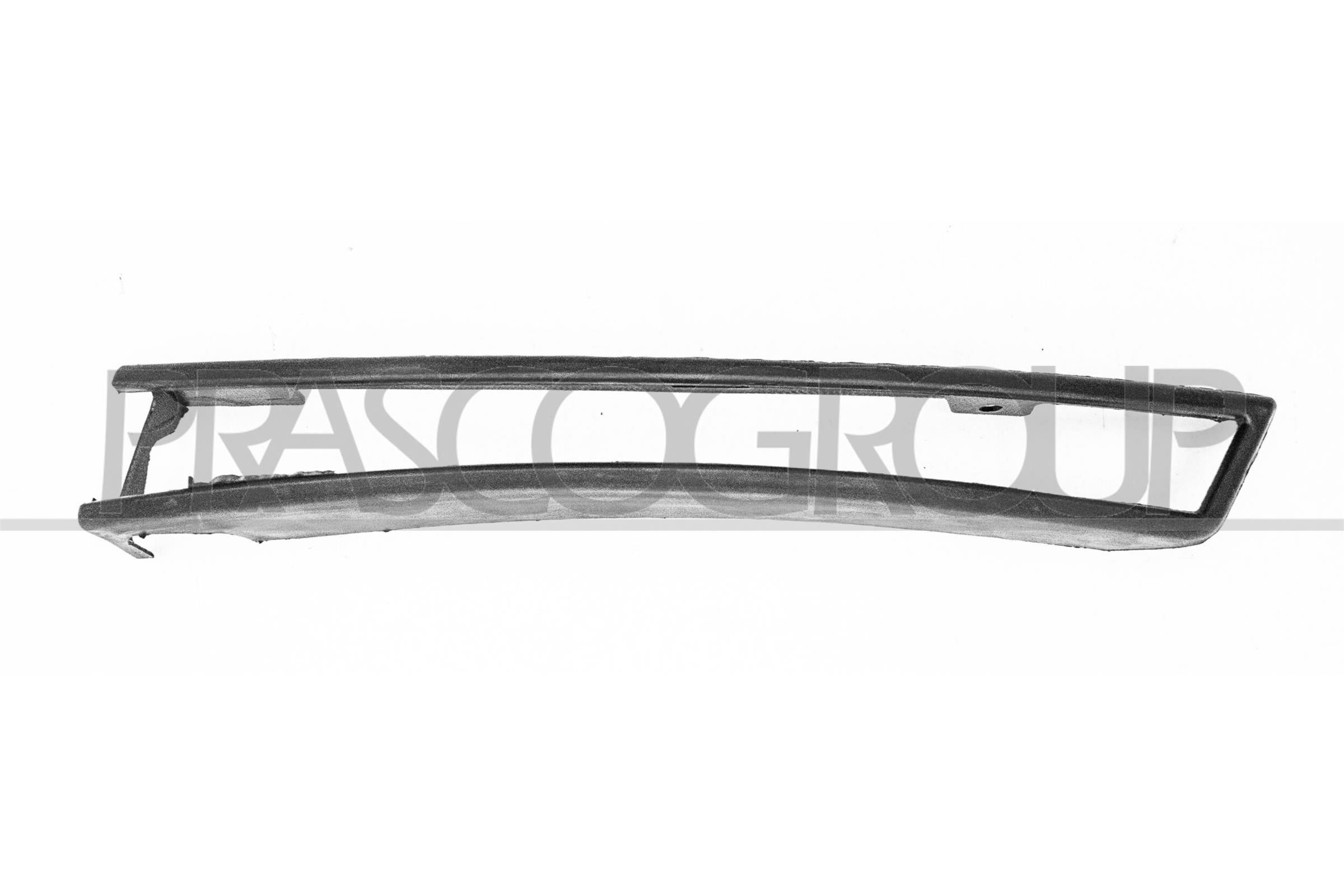 PRASCO VG0541248 Bumper moulding PASSAT 1.4 TSI 122 PS Petrol 2011
