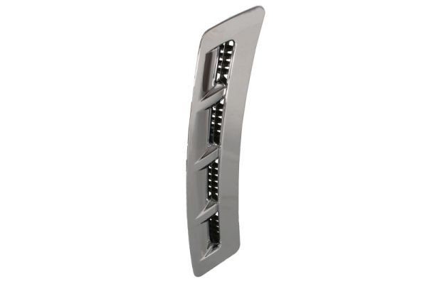 BLIC Trim / Protective Strip, mudguard Article number: 5703-04-9802422P cheaply