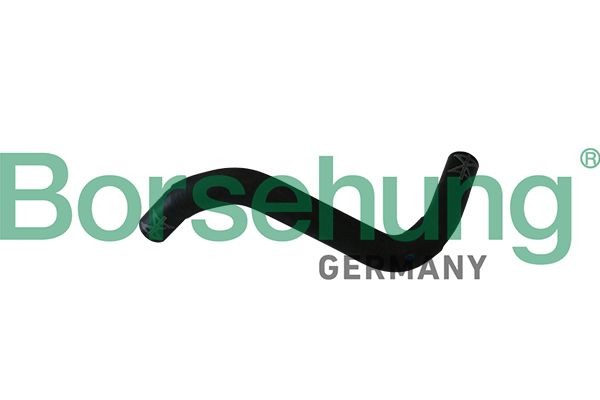 Borsehung Radiator hose Article number: B11986 cheaply