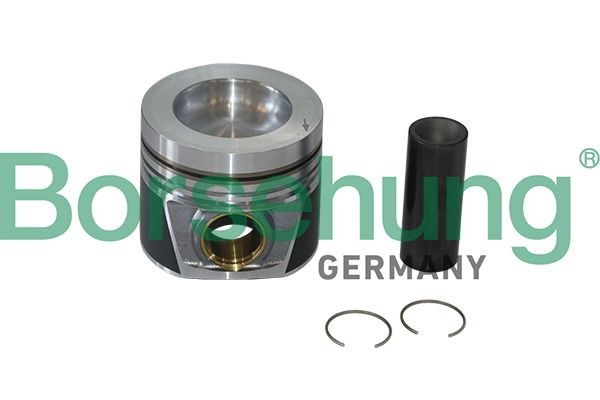Borsehung Piston Ring Kit Article number: B19299 cheaply