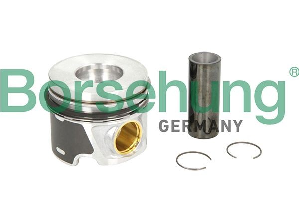 Borsehung Piston Ring Kit Article number: B19300 cheaply