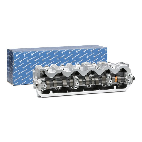 KOLBENSCHMIDT Cylinder Head Article number: 50003415 cheaply