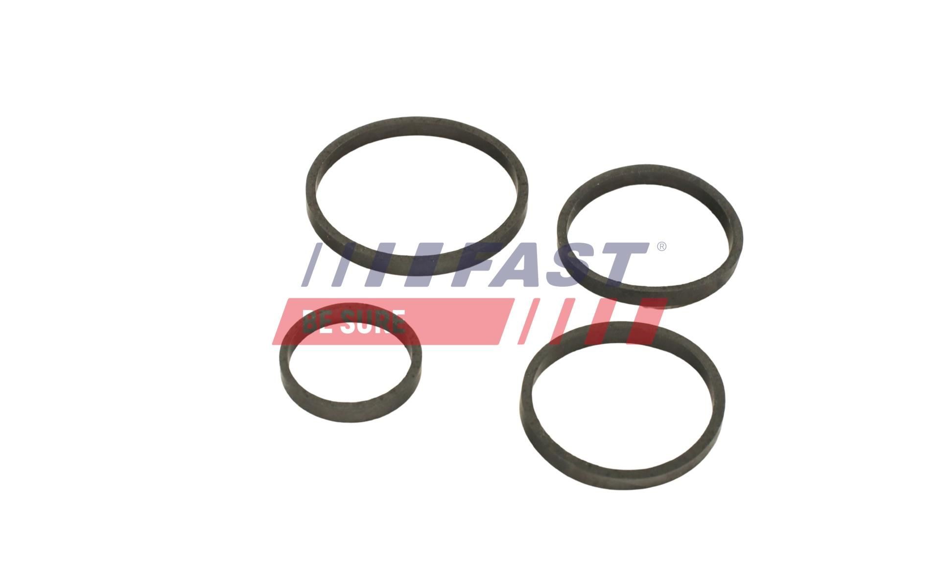 FAST Radiator, racire motor număr articol: FT55560 ieftin