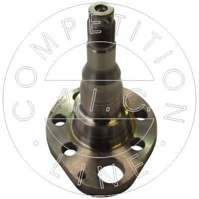 AIC Kingpin, axle beam Article number: 51156 cheaply