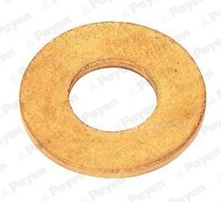PAYEN Seal Ring, nozzle holder Article number: KG5078 cheaply