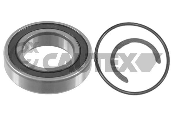 CAUTEX 754813 Intermediate Bearing, drive shaft SCÉNIC 2.0 16V (JA1B, JA1D, JA0C) 139 PS Petrol 2003