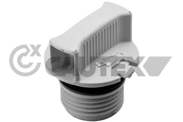 CAUTEX 756804 Lukk, õlitäite ühendustoru PUNTO 1.3 JTD Multijet (199.AYR1A, 199.BYR1A) 90 HP Diisel