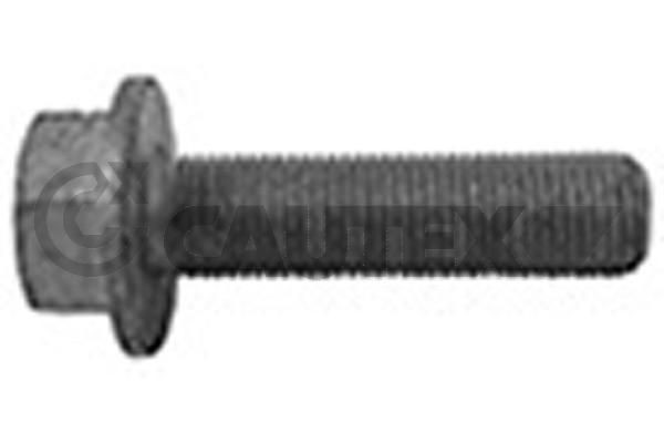 CAUTEX 757047 Remskiveskrue SCÉNIC 1.9 D (JA0J, FA0J) 64 HK Diesel 2003