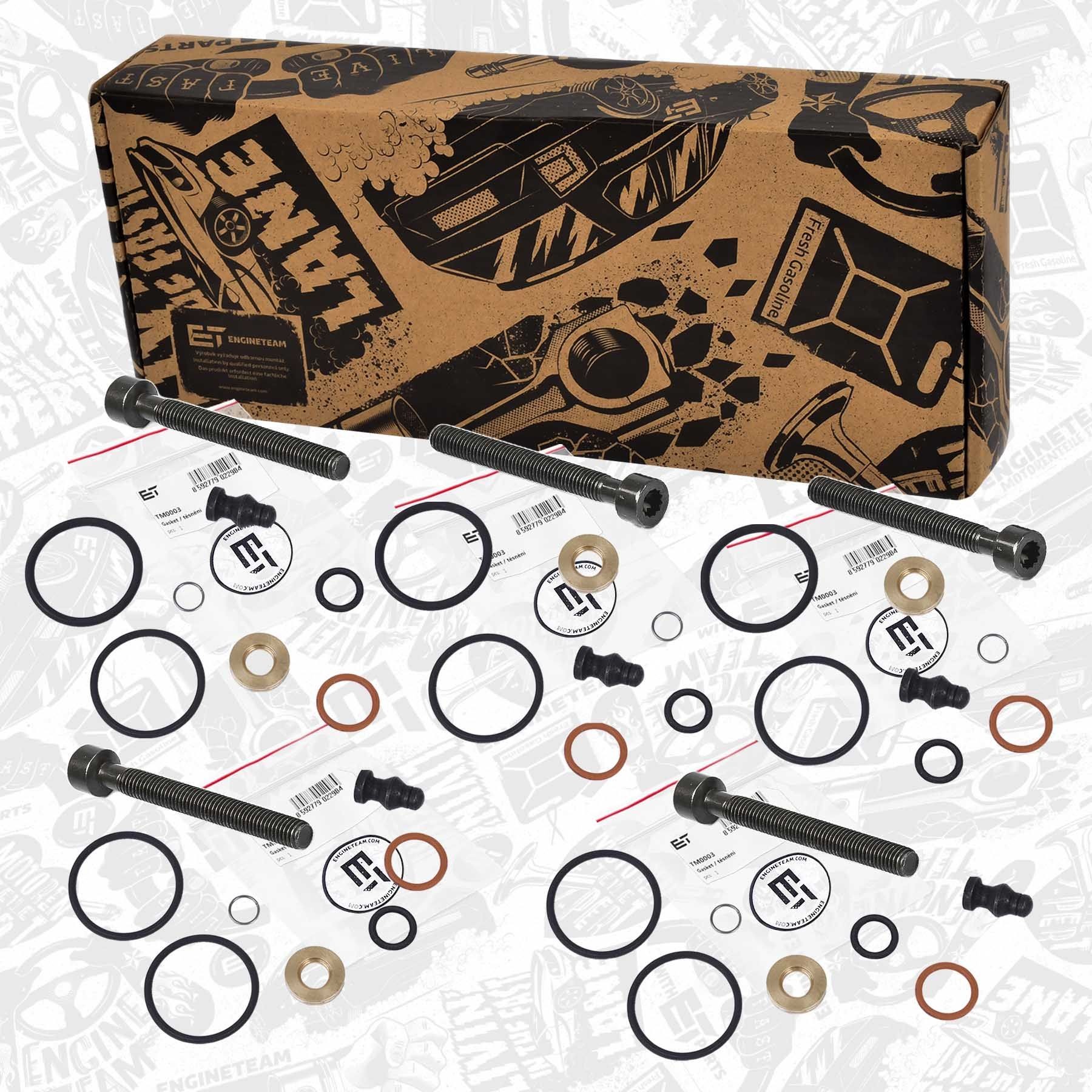 ET ENGINETEAM Seal Kit, injector nozzle Article number: TM0030VR1 cheaply