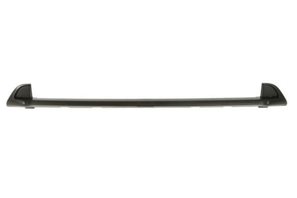 BLIC 6502-07-2098910P Trim / Protective Strip, radiator grille DUCATO 2.8 JTD 4x4 128 PS Diesel