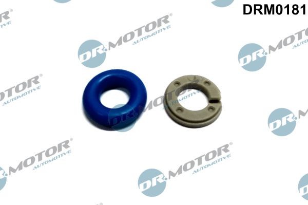 DR.MOTOR AUTOMOTIVE Repair Kit, injection nozzle Article number: DRM0181 cheaply