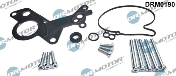 DR.MOTOR AUTOMOTIVE DRM0190 Reperationssæt, vacuumpumpe (bremsesystem) PASSAT 2.0 TDI 4motion 140 HK Diesel 2011