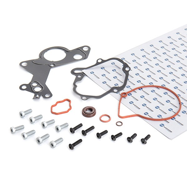DR.MOTOR AUTOMOTIVE DRM0210 Reperationssæt, vacuumpumpe (bremsesystem) FABIA 1.9 TDI RS 130 HK Diesel 2008