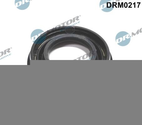 DR.MOTOR AUTOMOTIVE Guarnizione, Portapolverizzatore Numero articolo: DRM0217 poco costoso