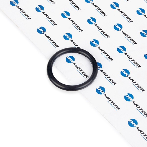 DR.MOTOR AUTOMOTIVE Gasket, coolant flange Article number: DRM024 cheaply