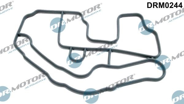 DR.MOTOR AUTOMOTIVE Thermostat housing gasket Article number: DRM0244 cheaply