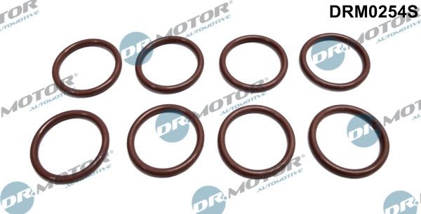 DR.MOTOR AUTOMOTIVE Seal Ring Set, injector Article number: DRM0254S cheaply