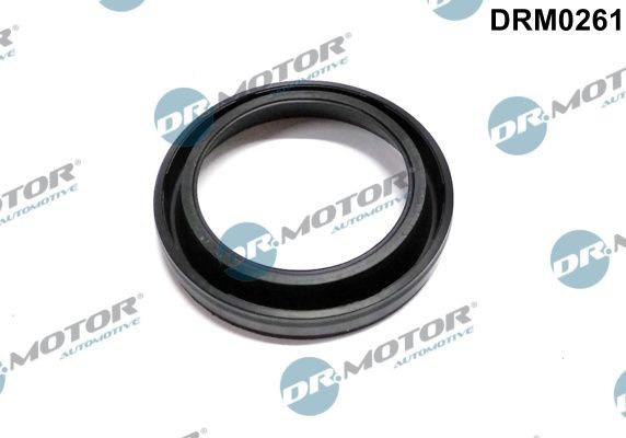 DR.MOTOR AUTOMOTIVE Seal, injector holder Article number: DRM0261 cheaply