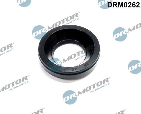 DR.MOTOR AUTOMOTIVE Seal, injector holder Article number: DRM0262 cheaply