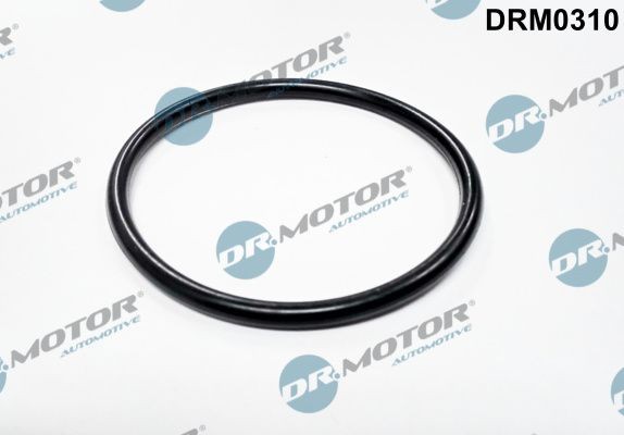 DR.MOTOR AUTOMOTIVE Seal, throttle body Article number: DRM0310 cheaply