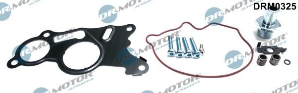 DR.MOTOR AUTOMOTIVE DRM0325 Remondikomplekt, vaakumpump(pidurisüsteem) PASSAT 2.0 TDI 136 HP Diisel 2011