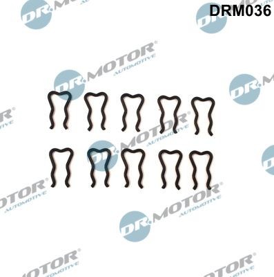 DR.MOTOR AUTOMOTIVE Retaining Spring Article number: DRM036 cheaply
