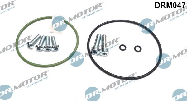 DR.MOTOR AUTOMOTIVE DRM047 Remondikomplekt, vaakumpump(pidurisüsteem) PHAETON 3.0 V6 TDI 4motion 240 HP Diisel 2016