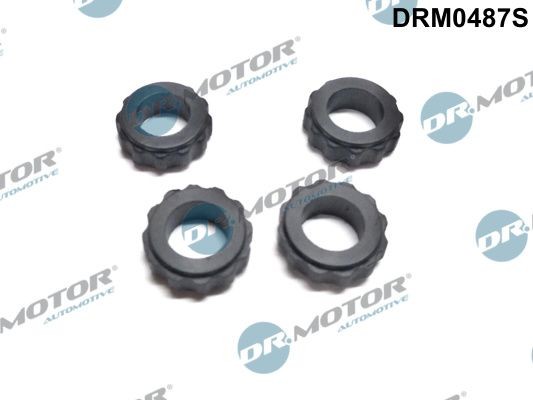 DR.MOTOR AUTOMOTIVE Seal Ring Set, injector Article number: DRM0487S cheaply