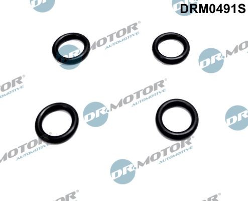DR.MOTOR AUTOMOTIVE Seal Ring Set, injector Article number: DRM0491S cheaply