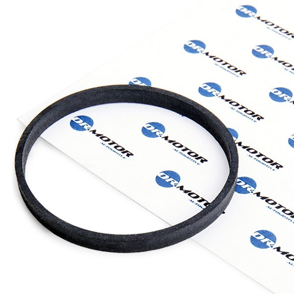 DR.MOTOR AUTOMOTIVE Seal, throttle body Article number: DRM050 cheaply