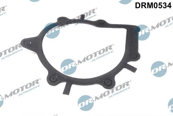 DR.MOTOR AUTOMOTIVE Gasket, water pump Article number: DRM0534 cheaply
