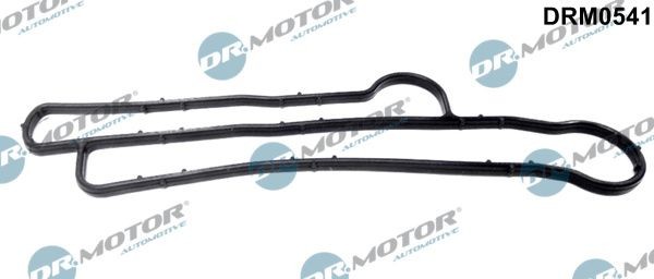 DR.MOTOR AUTOMOTIVE Tihend,õliradiaator Artikli number: DRM0541 soodsalt