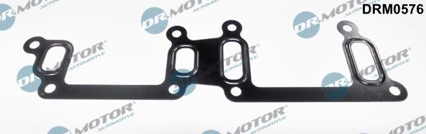 DR.MOTOR AUTOMOTIVE Seal, coolant pipe Article number: DRM0576 cheaply