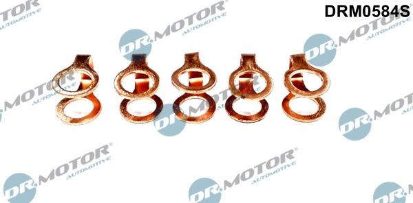 DR.MOTOR AUTOMOTIVE Seal Set, injection system Article number: DRM0584S cheaply