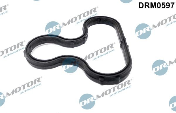 DR.MOTOR AUTOMOTIVE Repair Kit, alternator Article number: DRM0597 cheaply