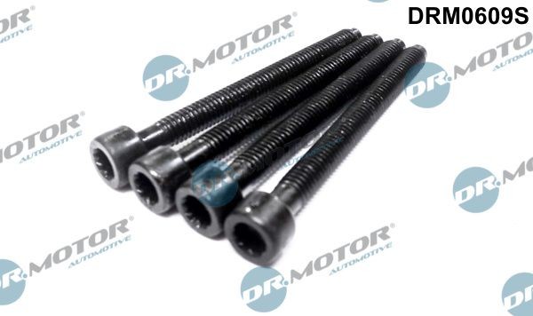 DR.MOTOR AUTOMOTIVE DRM0609S Justeerimiskruvi, sissepritsepump PASSAT 1.9 TDI 4motion 115 HP Diisel 2001