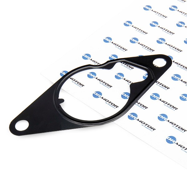 DR.MOTOR AUTOMOTIVE Guarnizione, Pompa depressione Numero articolo: DRM0634 poco costoso
