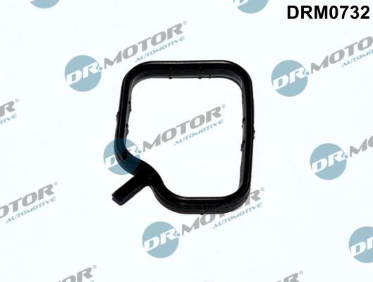 DR.MOTOR AUTOMOTIVE Seal, coolant pipe Article number: DRM0732 cheaply