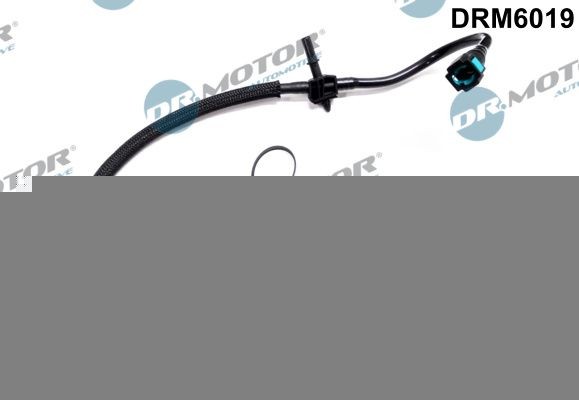 DR.MOTOR AUTOMOTIVE DRM6019 Voolik, Jääkkütus TRANSIT 2.2 TDCi 125 HP Diisel 2014