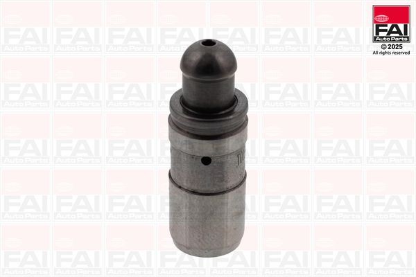 FAI AutoParts Tappet Article number: BFS458S cheaply