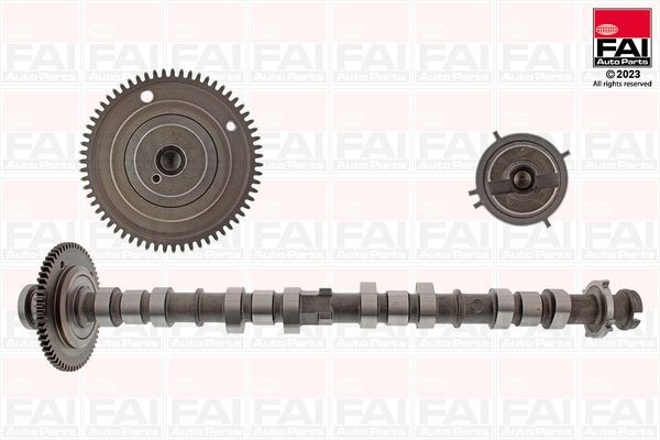 FAI AutoParts Εκκεντροφόρος άξονας αριθμός Άρθρου: C528 φθηνότερα