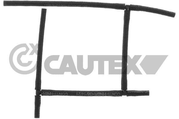 CAUTEX 766590 Hose, fuel overflow FOCUS 1.8 TDCi 100 PS Diesel 2007