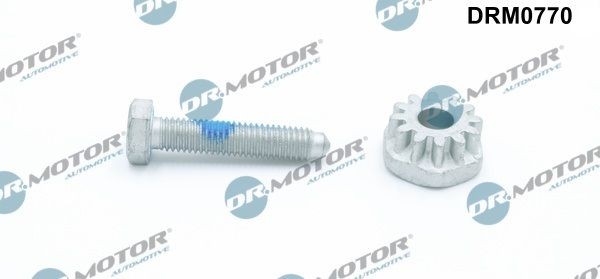 DR.MOTOR AUTOMOTIVE Tensioner Bolt, alternator mounting Article number: DRM0770 cheaply
